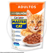 master cat pouch salmon 85gr